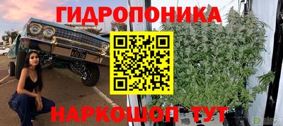 круглые Краснознаменск