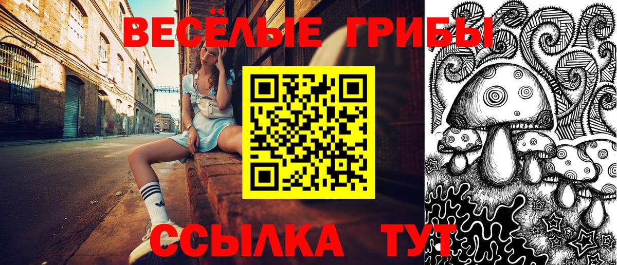 Ишимбай  Галлюциногенные грибы Psilocybine cubensis  закладка  Вход с VPN 
